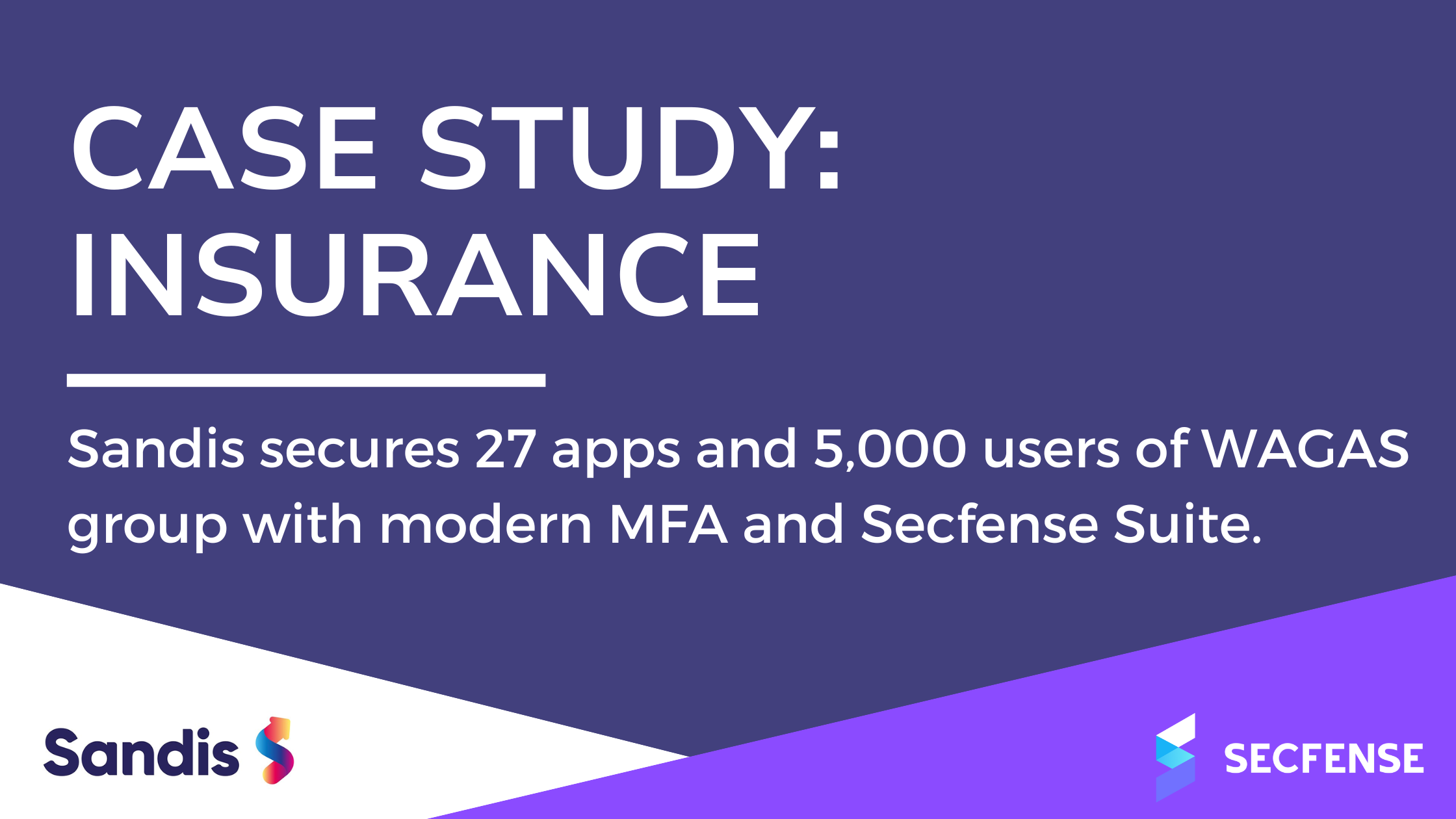 sandis secfense case study